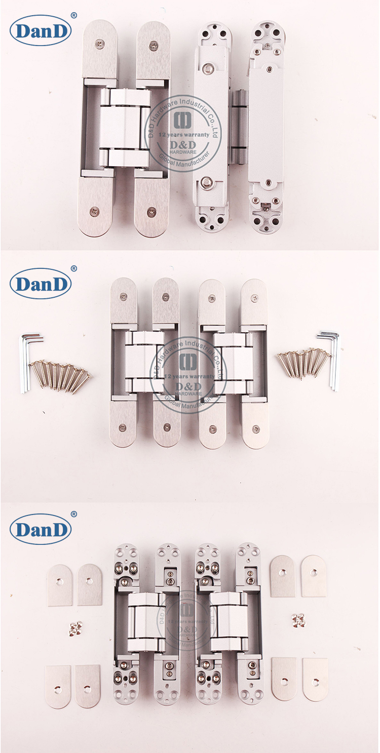 银色隐藏的门铰链D和D硬件